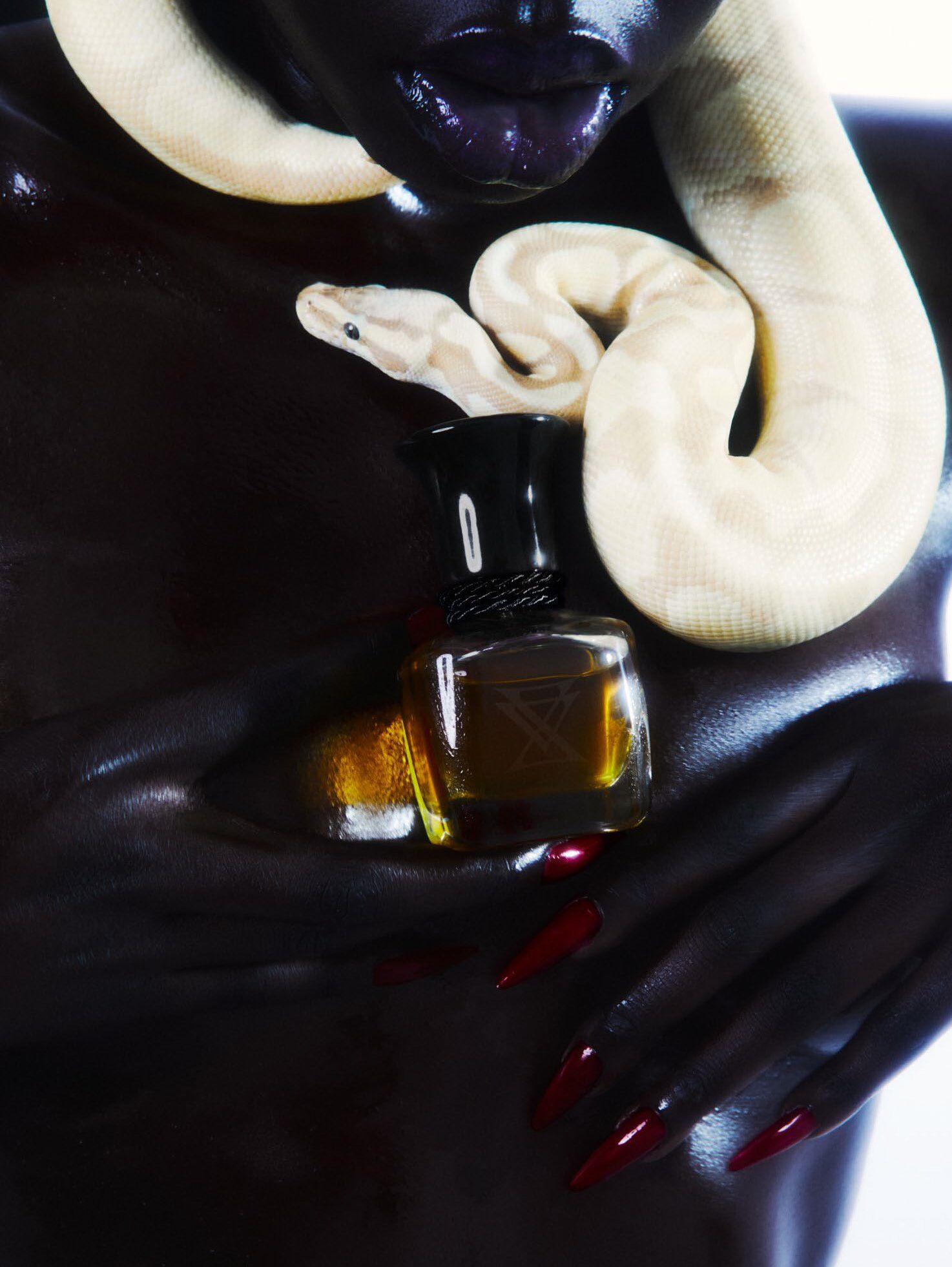 تصویر عطر اسپیریتو سانتو اکسترا ورگو