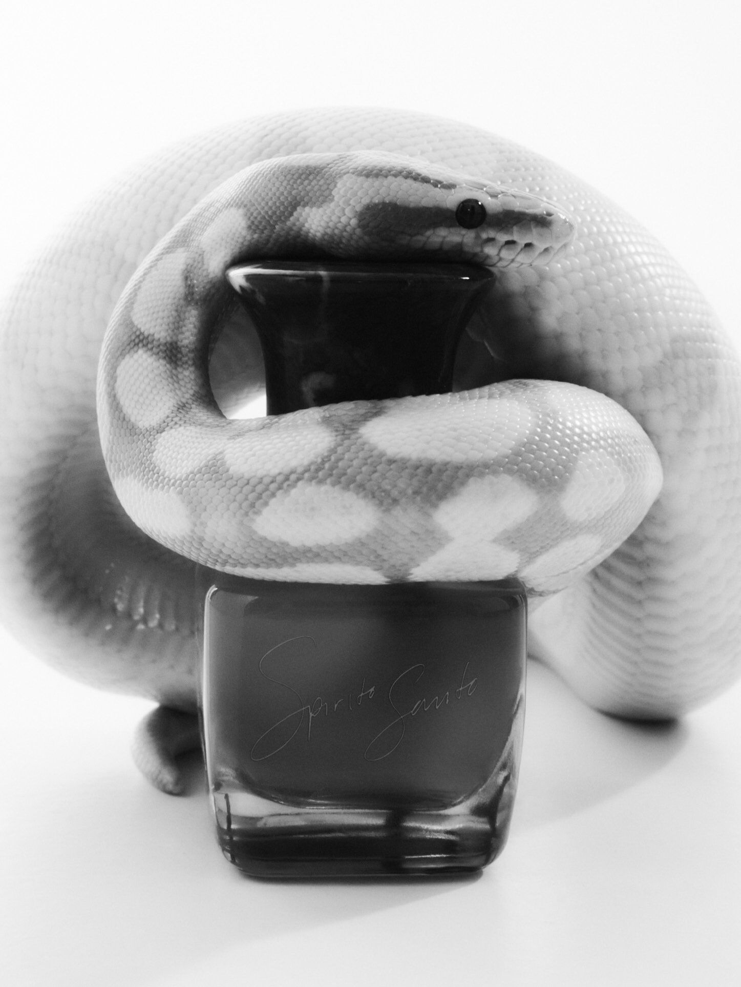 تصویر عطر اسپیریتو سانتو اکسترا ورگو
