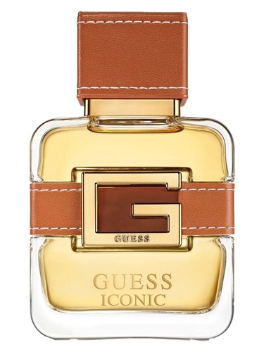 تصویر عطر آیکانیک هوم گس