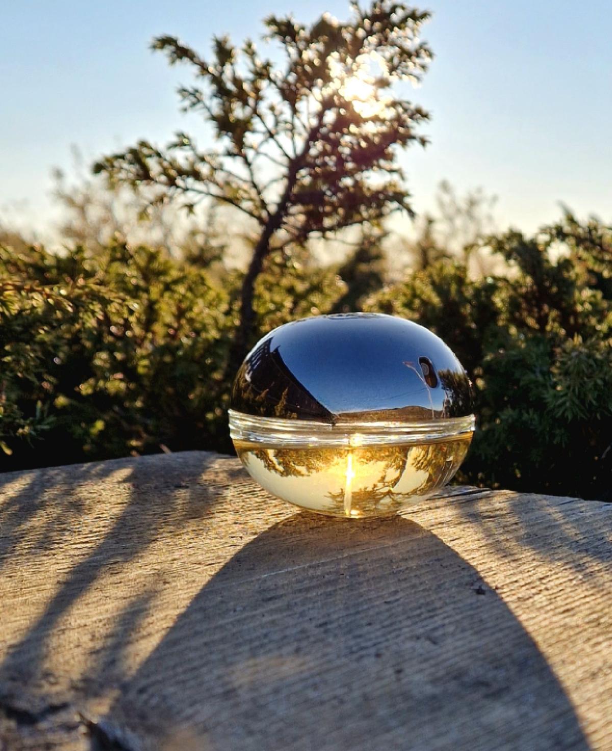تصویر عطر دی کی ان وای گلدن دلیشس دونا کارن