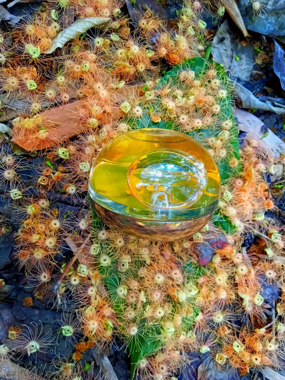 تصویر عطر دی کی ان وای گلدن دلیشس دونا کارن