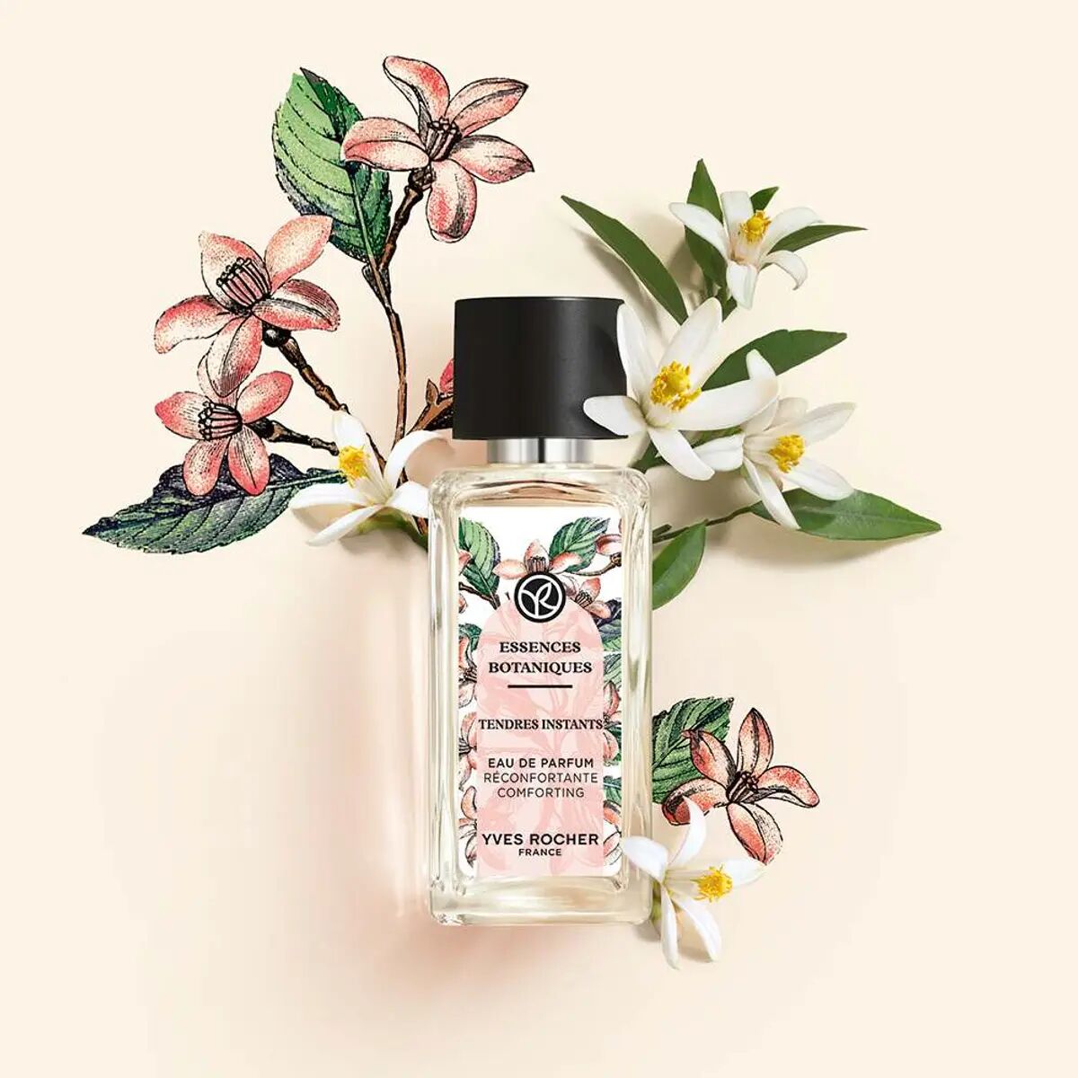 تصویر عطر تَندِرز اِنستَنتس ایو روشه