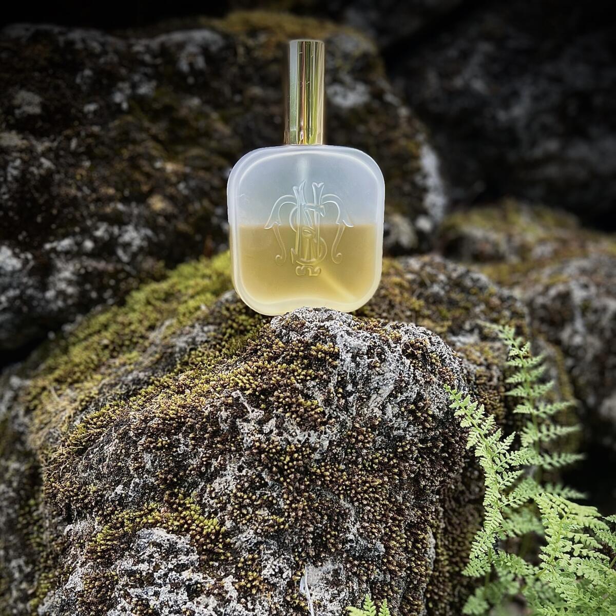 تصویر عطر ملوگرانو سانتا ماریا نوولا