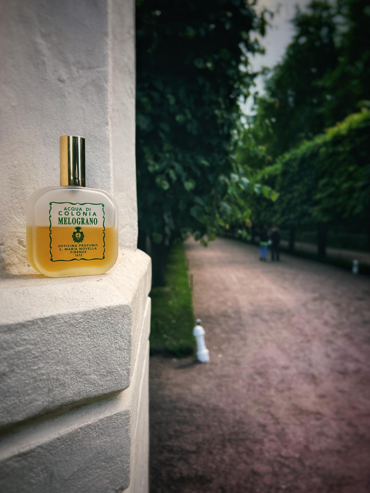 تصویر عطر ملوگرانو سانتا ماریا نوولا