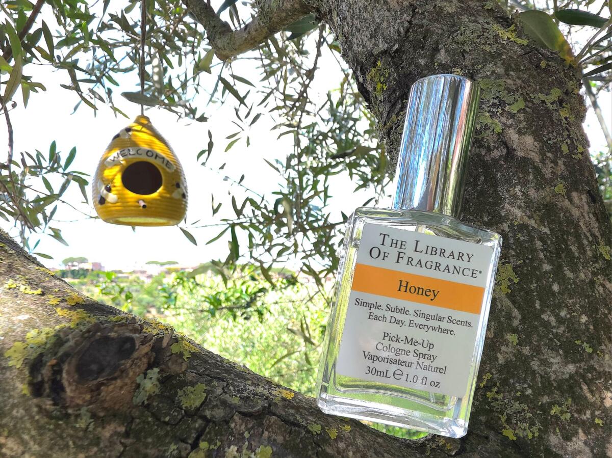 تصویر عطر هانی دیمتر فرگرنس