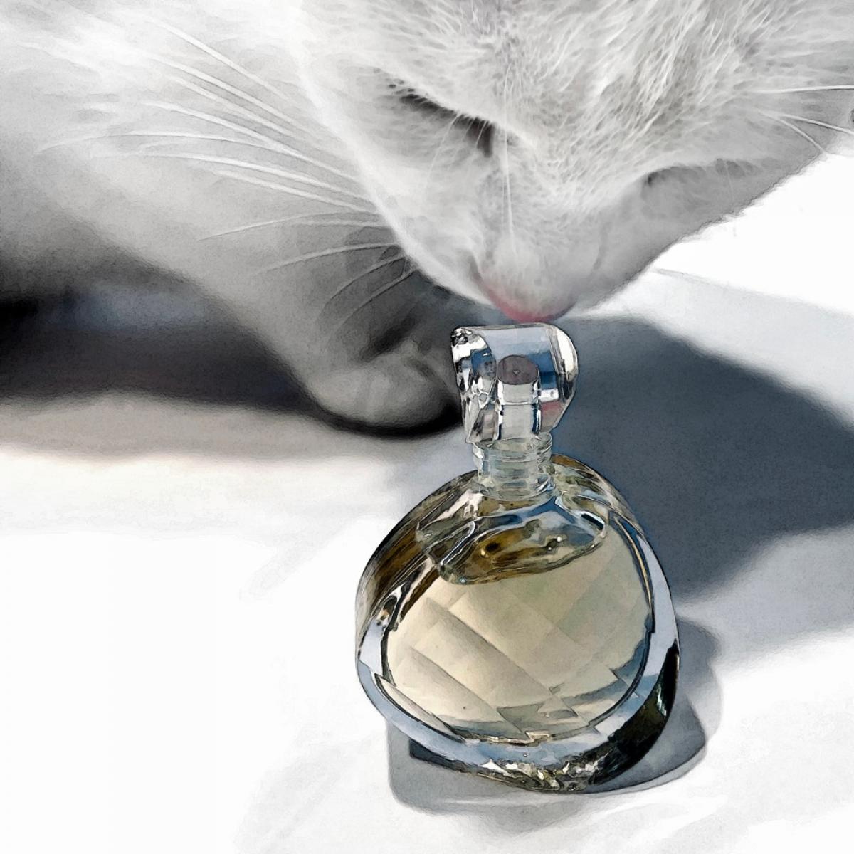 تصویر عطر آنتولد الیزابت آردن