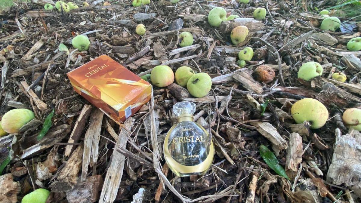 تصویر عطر کریستال فابرلیک