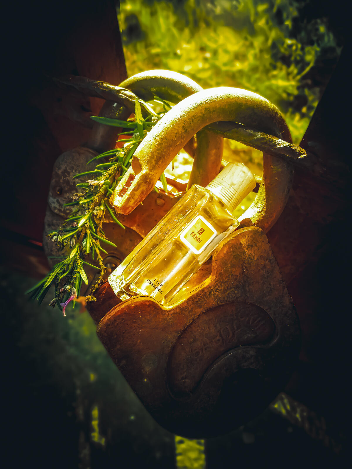 تصویر عطر لایف اسنس فندی