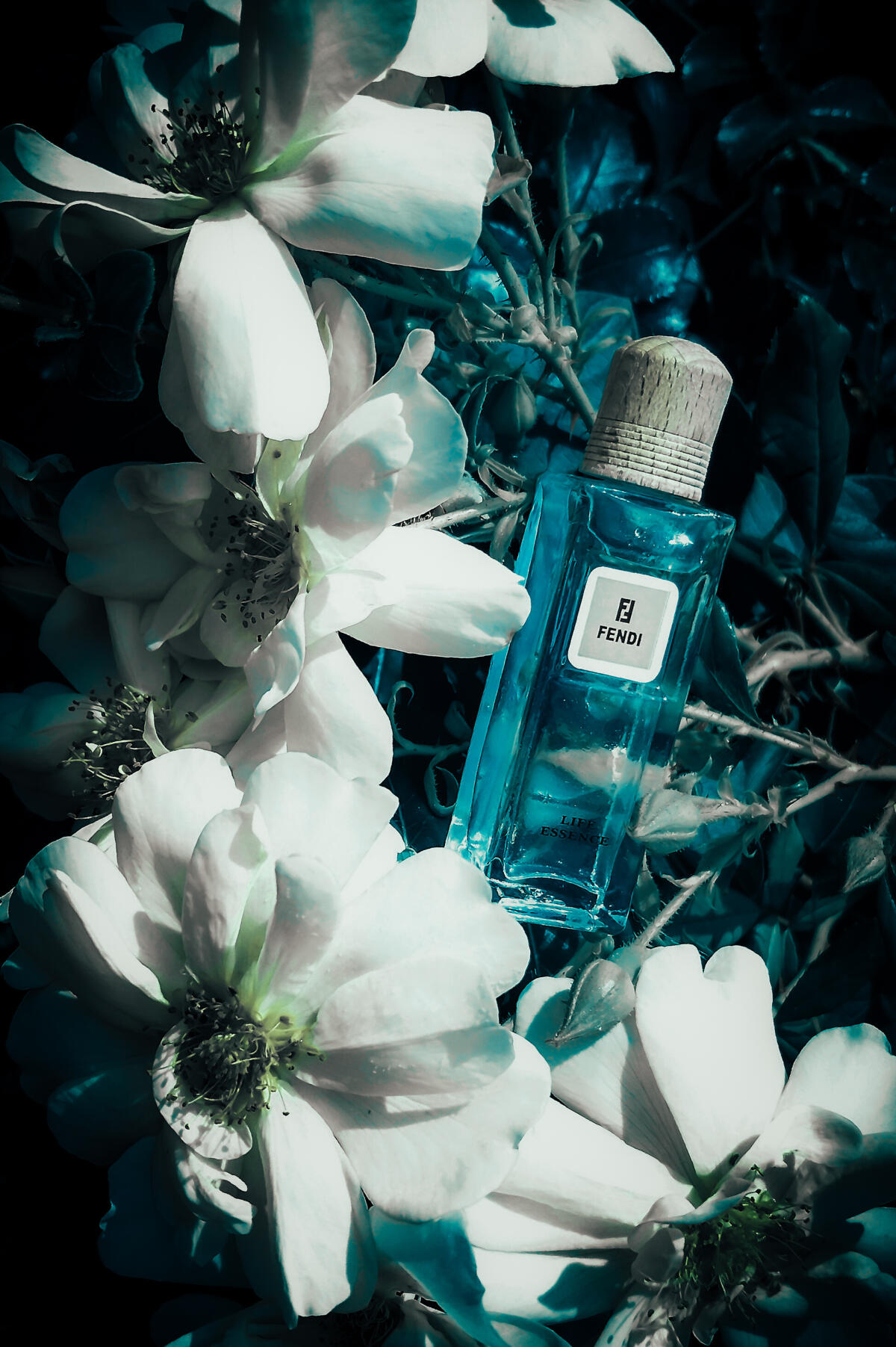 تصویر عطر لایف اسنس فندی