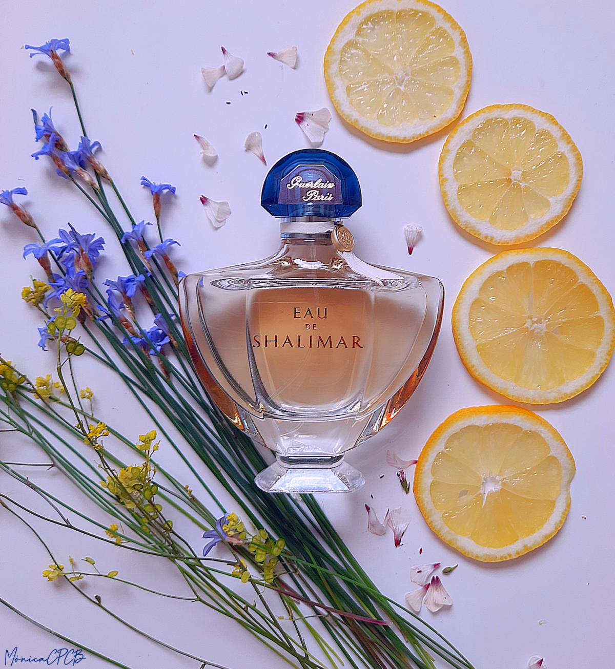 تصویر عطر اودو شالیمار گرلن