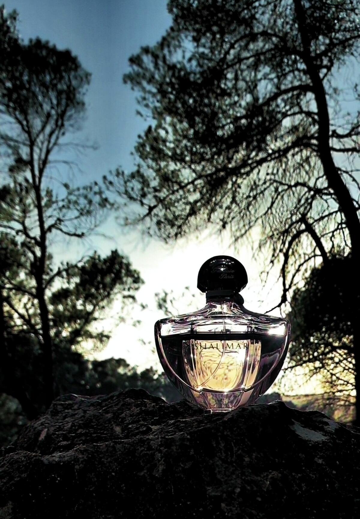 تصویر عطر اودو شالیمار گرلن