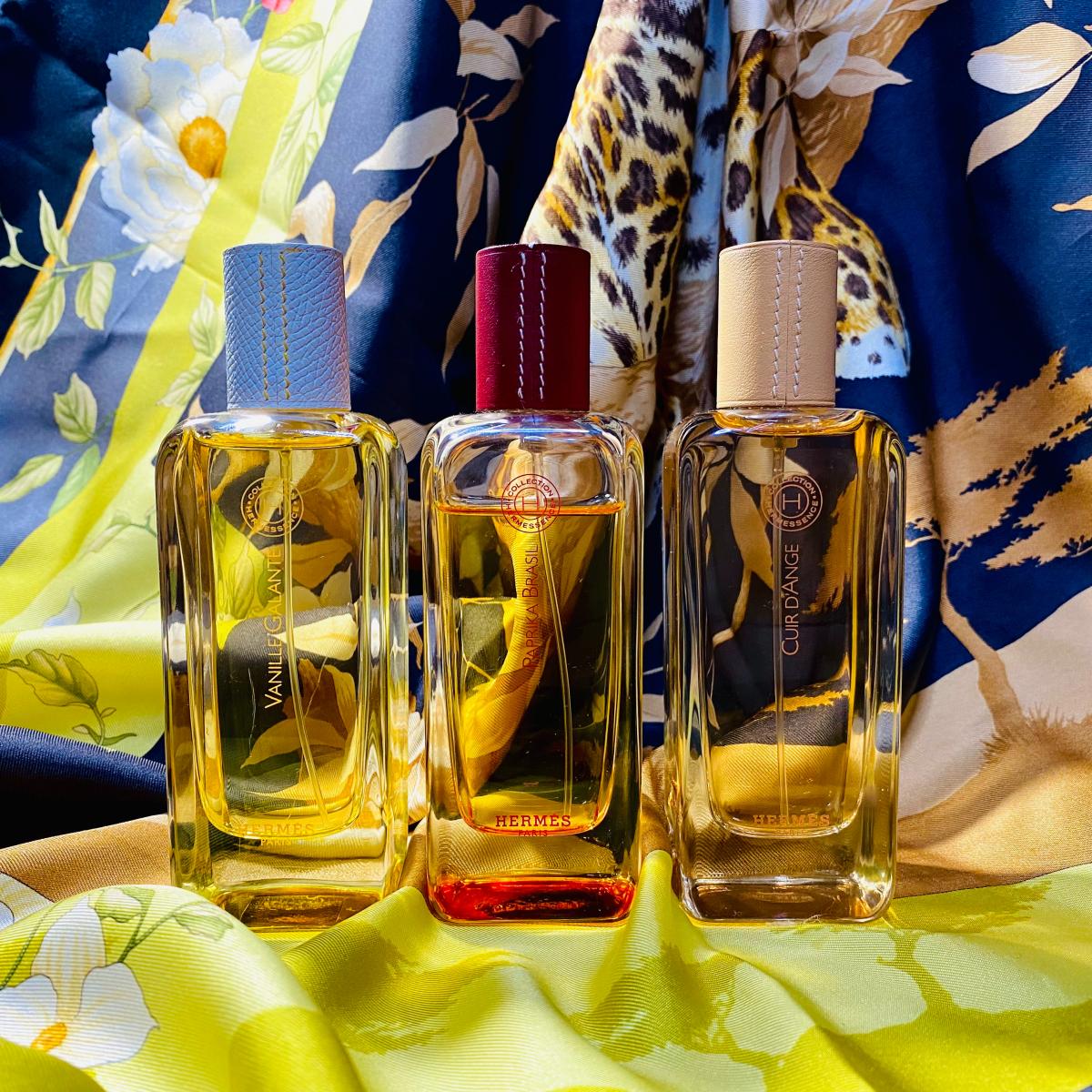تصویر عطر هرمسنس پاپریکا برزیل
