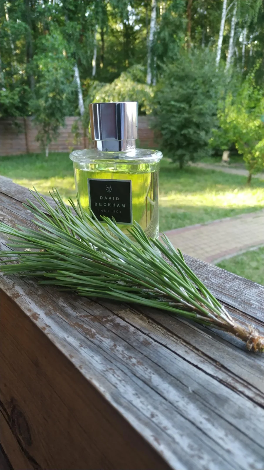 تصویر عطر اینستینکت دیوید بکهام