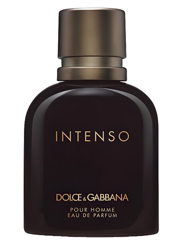 تصویر عطر دولچه اند گابانا پور هوم اینتنسو