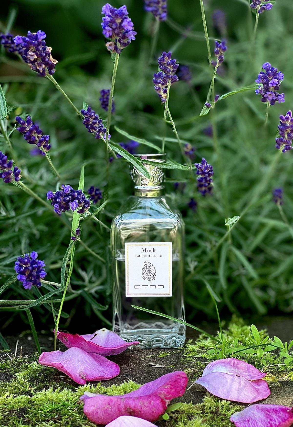 تصویر عطر ریلِنت اِترو