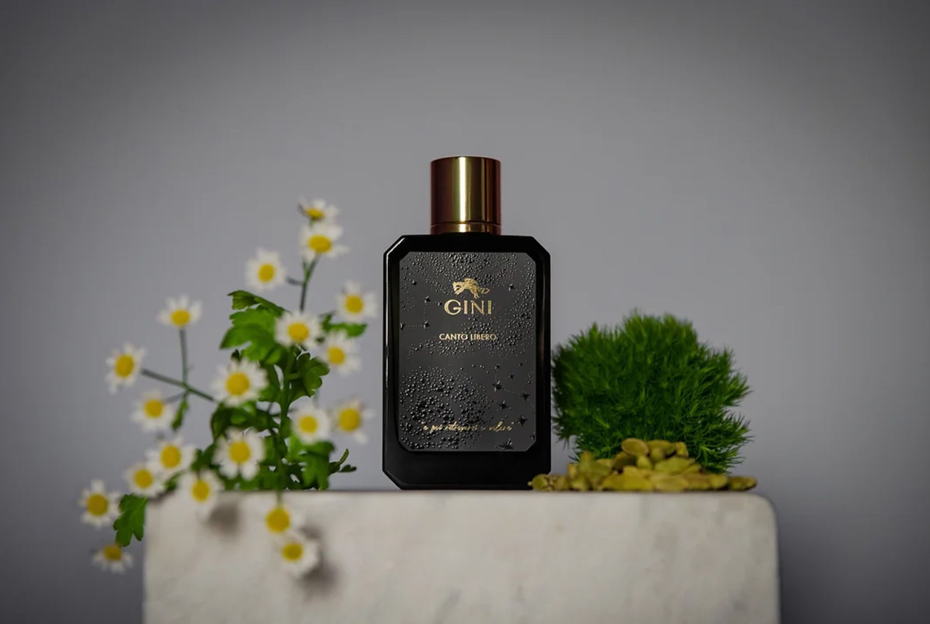تصویر عطر کانتو لیبرو جینی پرفیوم