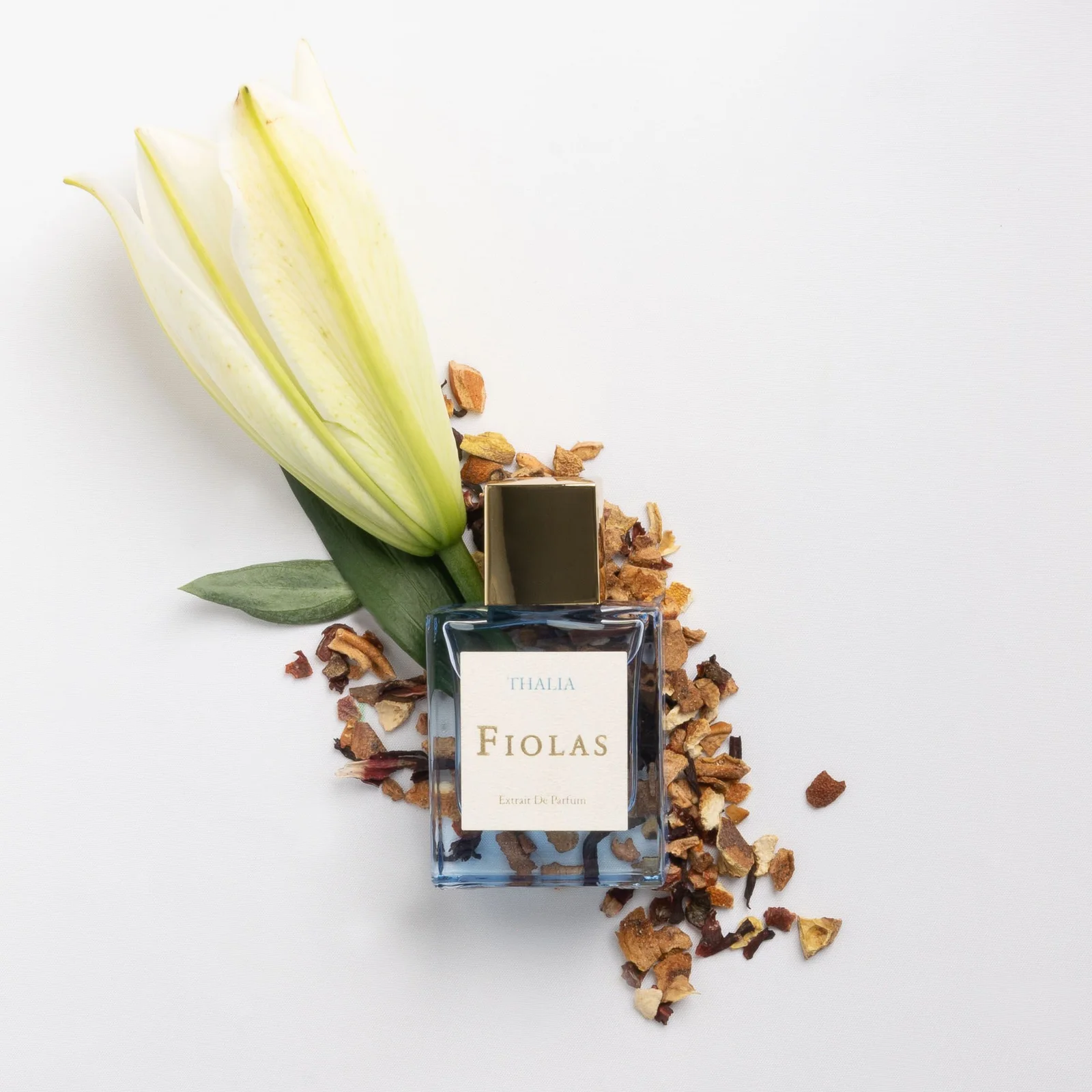 تصویر عطر تالیا فیولاس