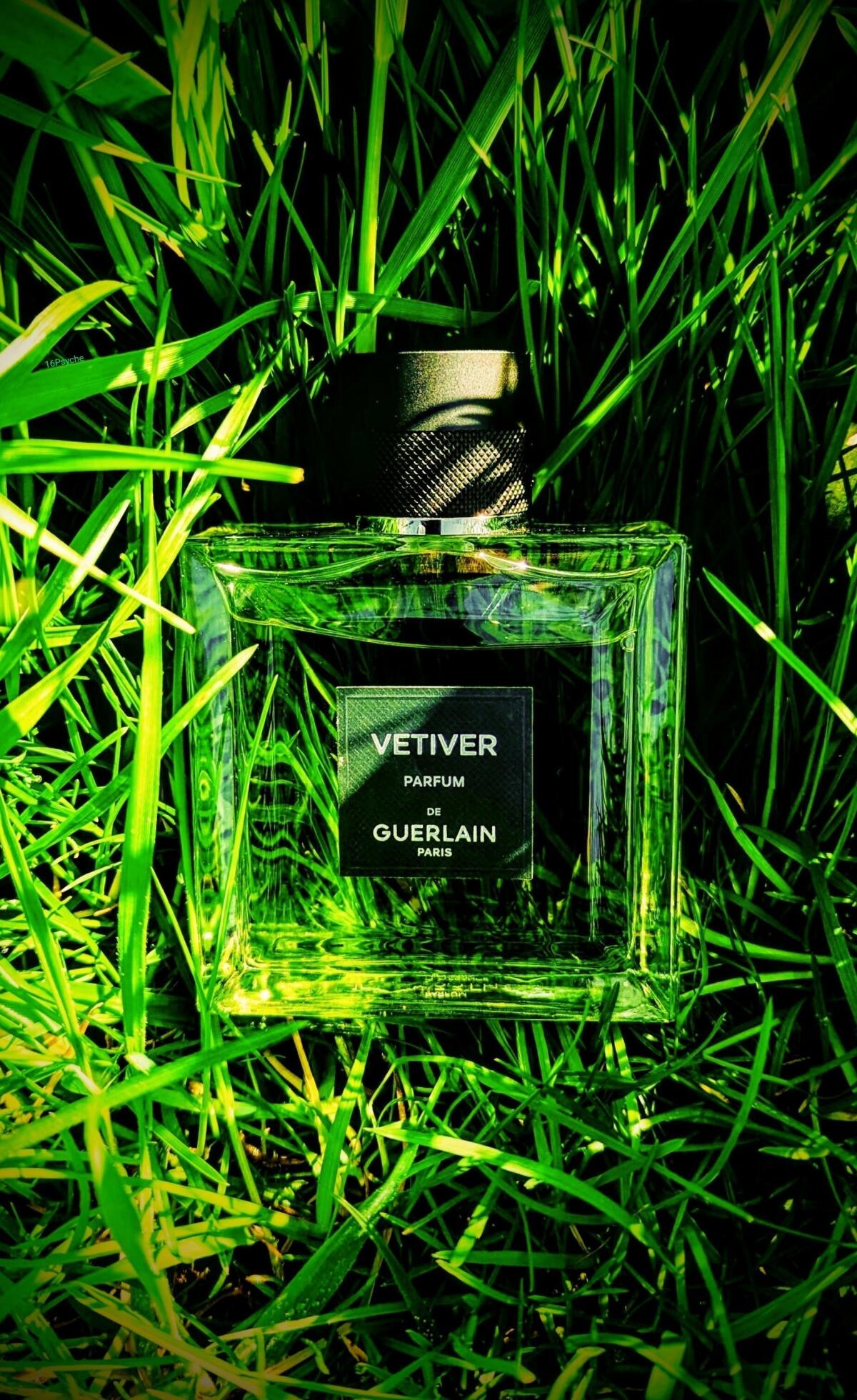 تصویر عطر وتیور پارفوم گرلن