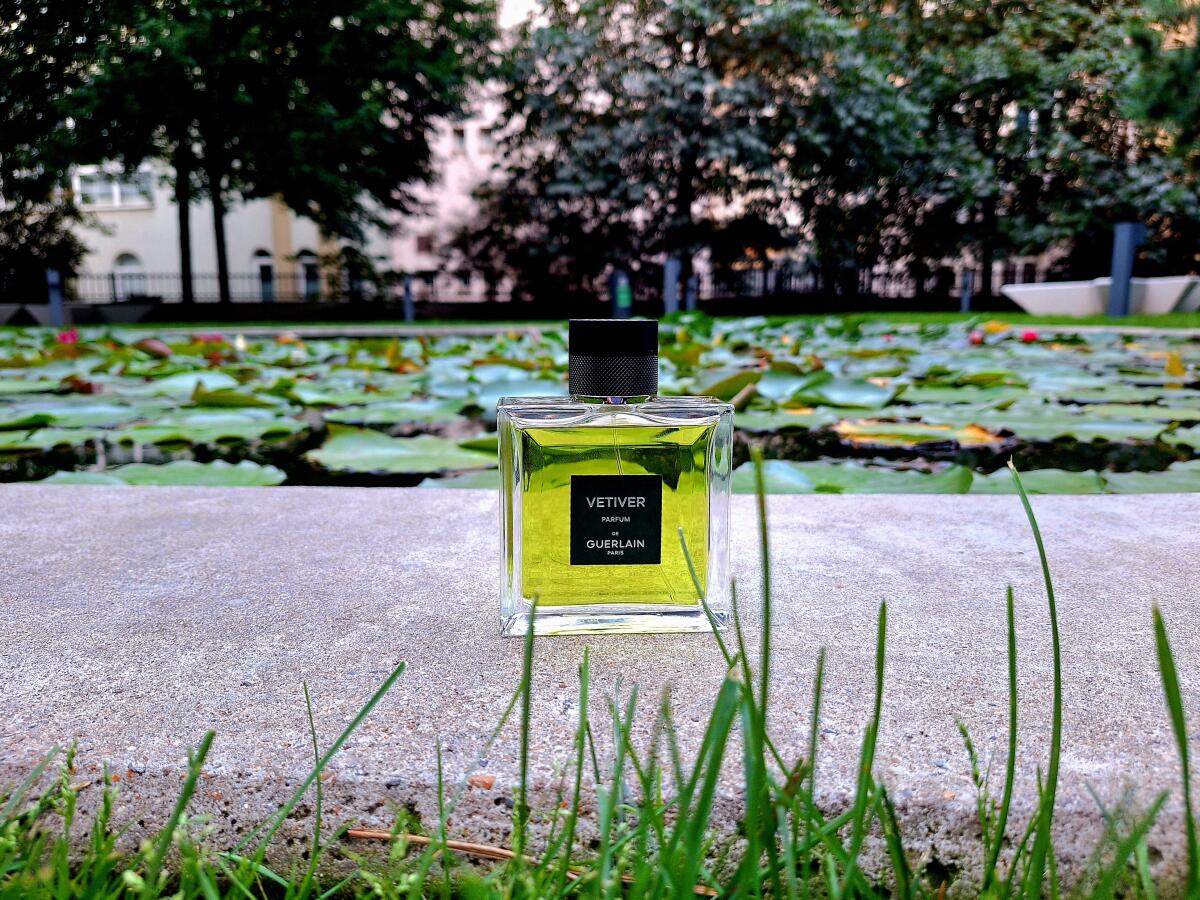 تصویر عطر وتیور پارفوم گرلن