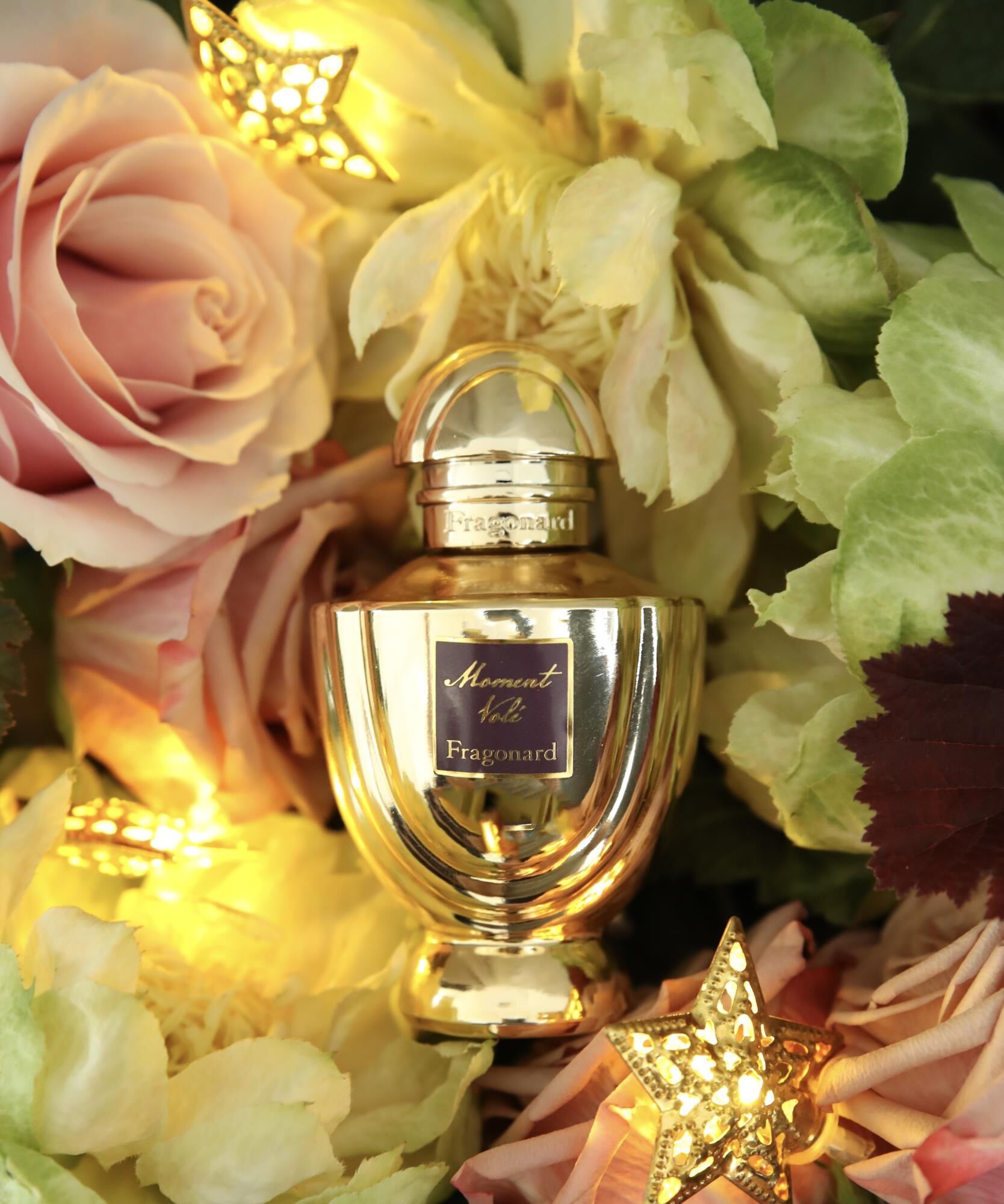 تصویر عطر مومان ول فراگونار