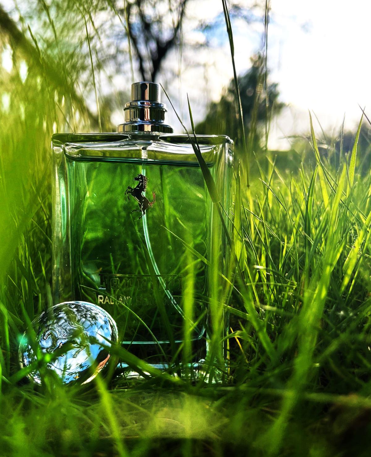 تصویر عطر رِیدیِنت بِرگاموت فراری