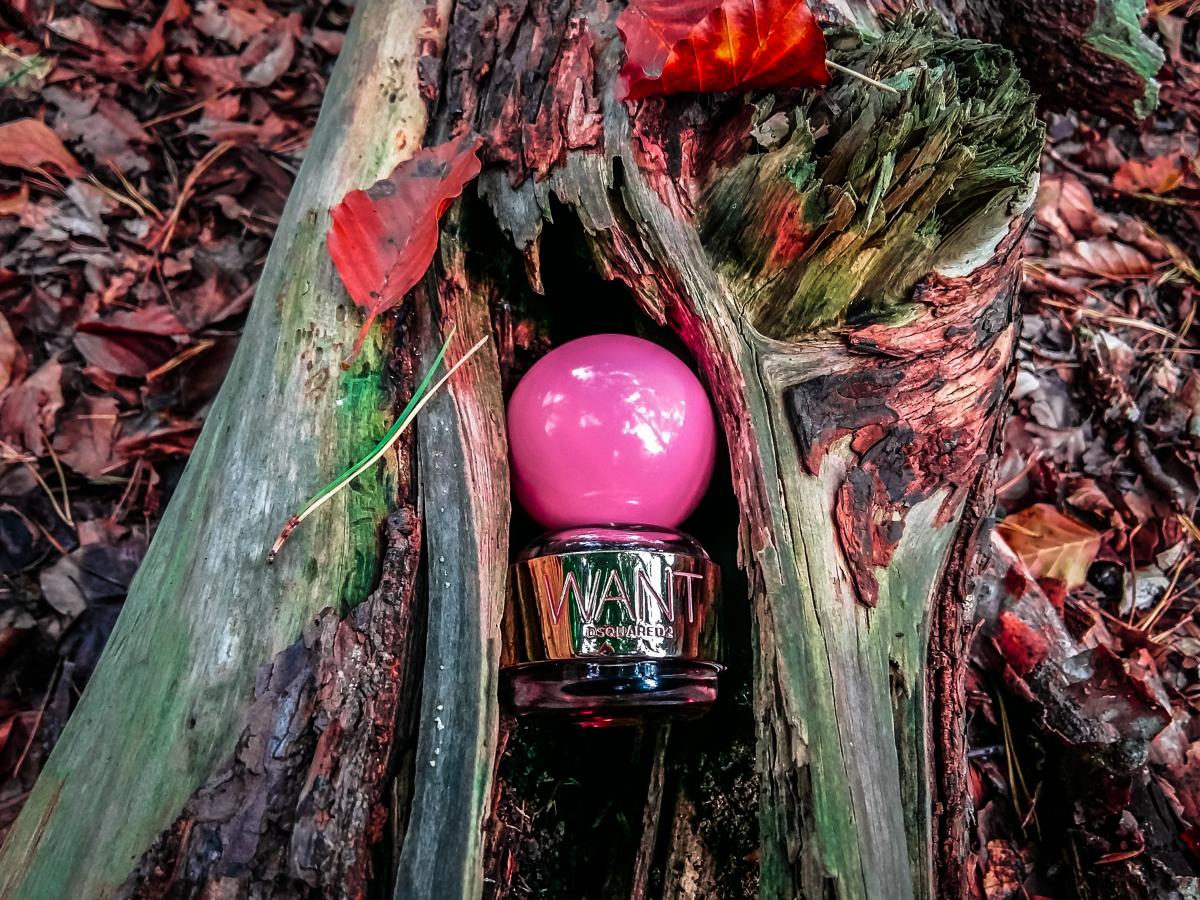 تصویر عطر وانت پینک جینجر دیسکوارد ۲