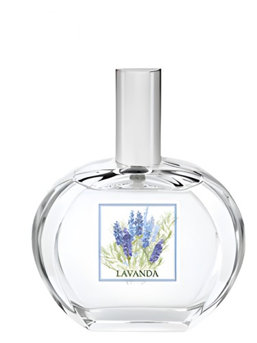 تصویر عطر لاواندا هلان