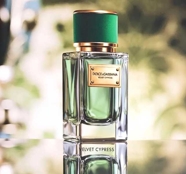 تصویر عطر ولوت سایپرس دولچه اند گابانا