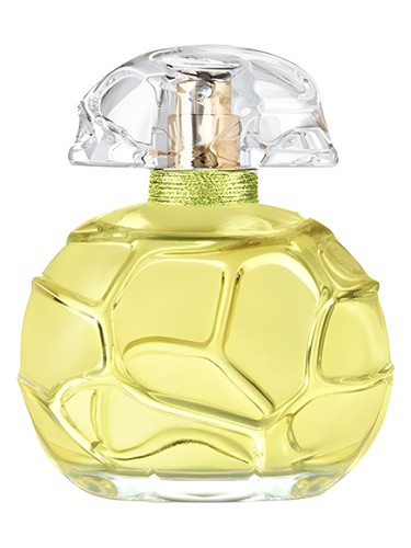 تصویر عطر کلک فلور جردن سکرت اکسترکت اوبیگان