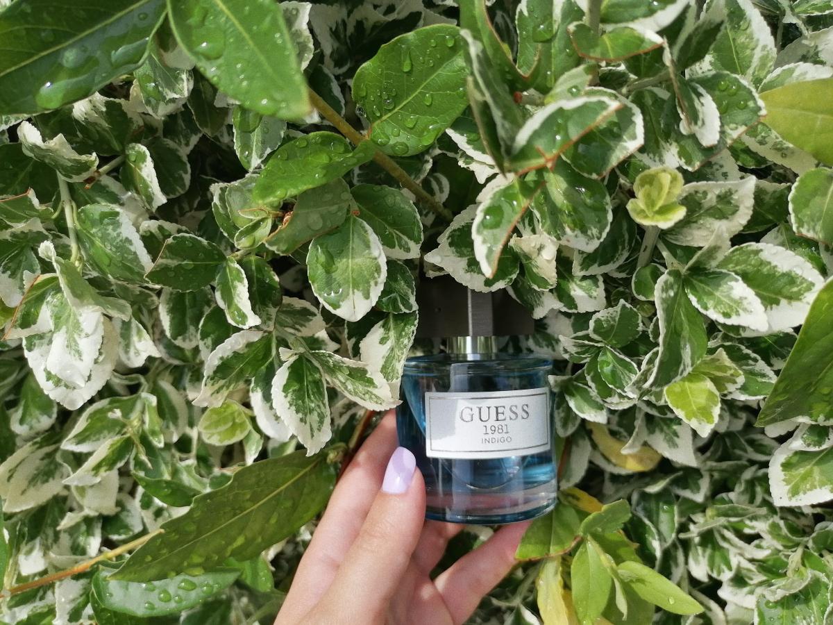 تصویر عطر گس ۱۹۸۱ ایندیگو فور من