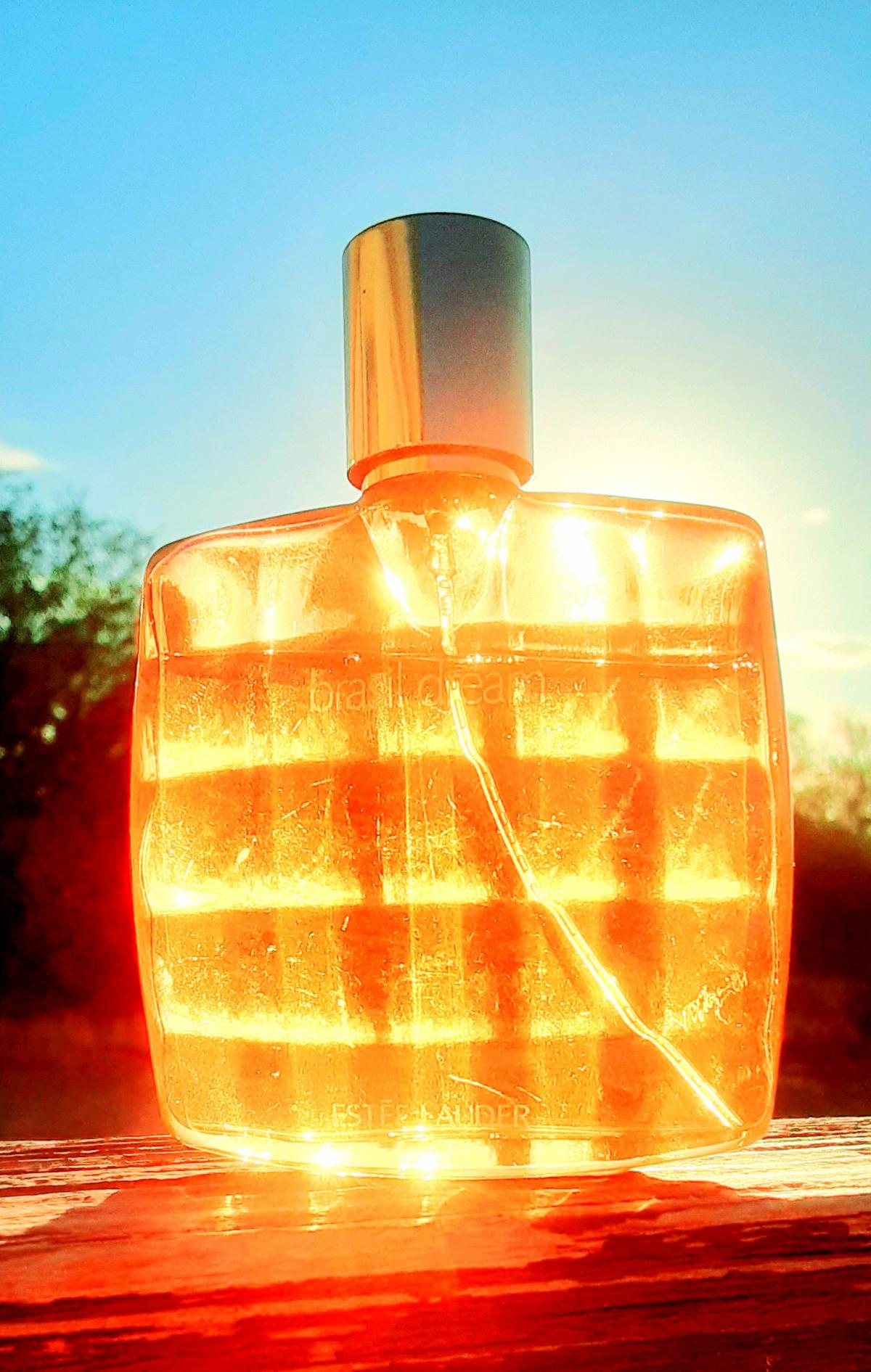 تصویر عطر برازیل دریم استی لودر