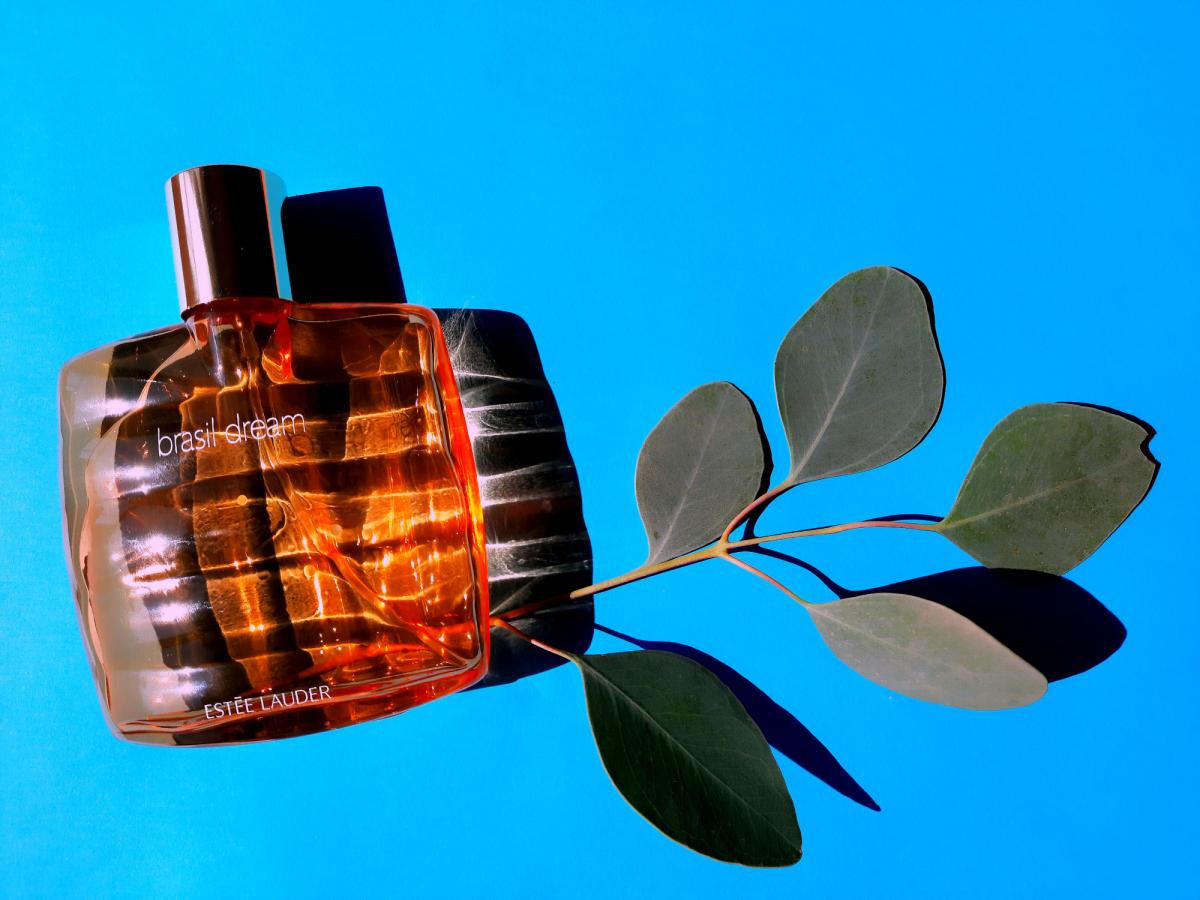 تصویر عطر برازیل دریم استی لودر