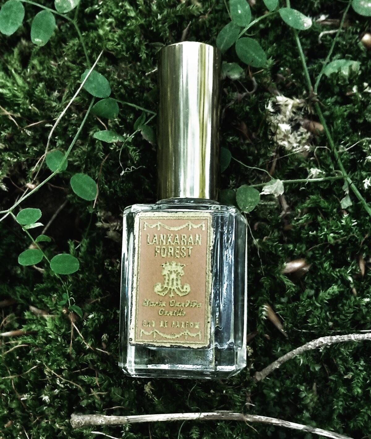 تصویر عطر لانکاران فورست ماریا کاندیدا جنتیله
