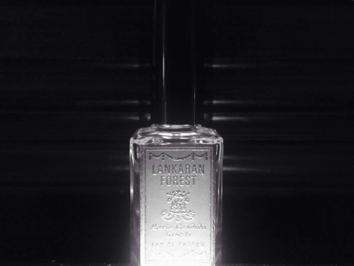 تصویر عطر لانکاران فورست ماریا کاندیدا جنتیله
