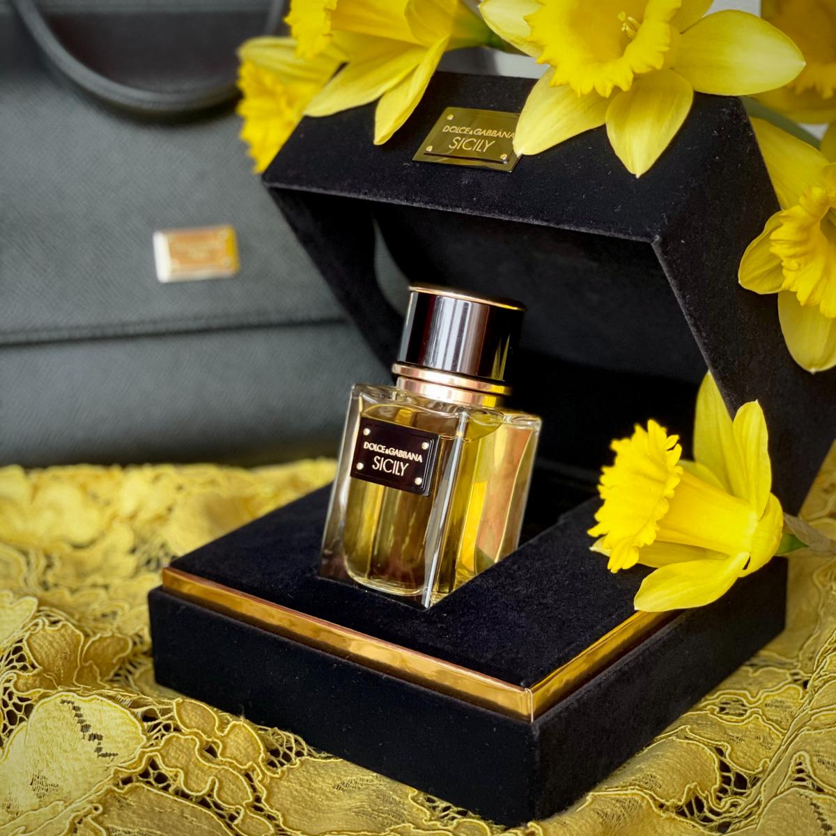 تصویر عطر ولوت سیسیلی دولچه اند گابانا