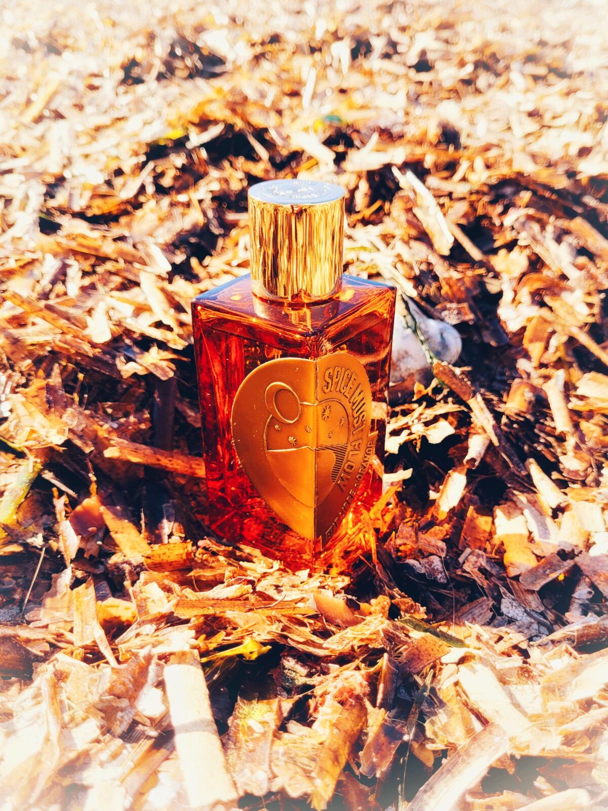 تصویر عطر سپایس ماست فلو اتا لیبر دورنج