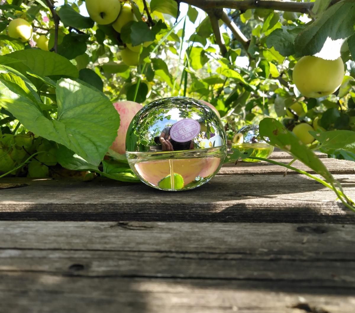 تصویر عطر دی کی ان وای بی هاندرد درصد دلیشِس دونا کارن