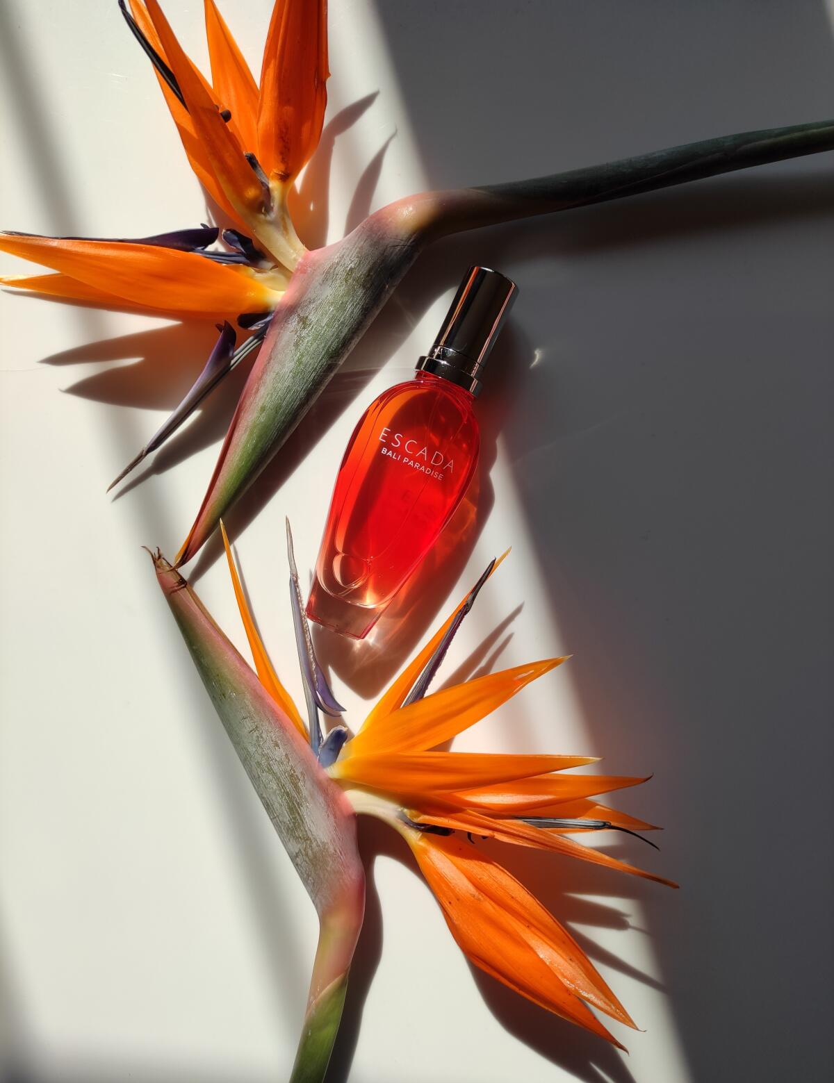 تصویر عطر بالی پارادایس اسکادا