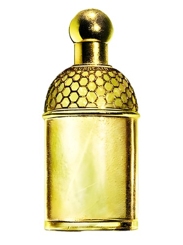 تصویر عطر آکوا آلگوریا لوریه - رگلیس گرلن