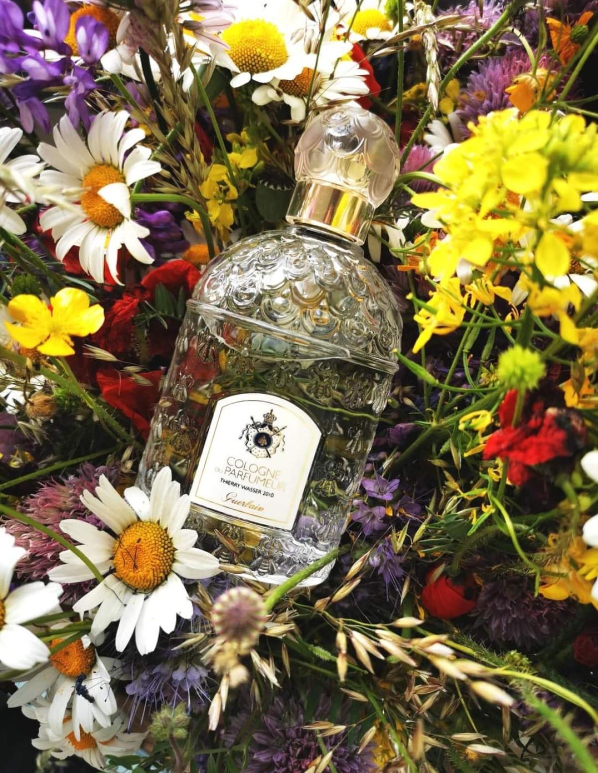 تصویر عطر لا کالون دو پارفومور گرلن