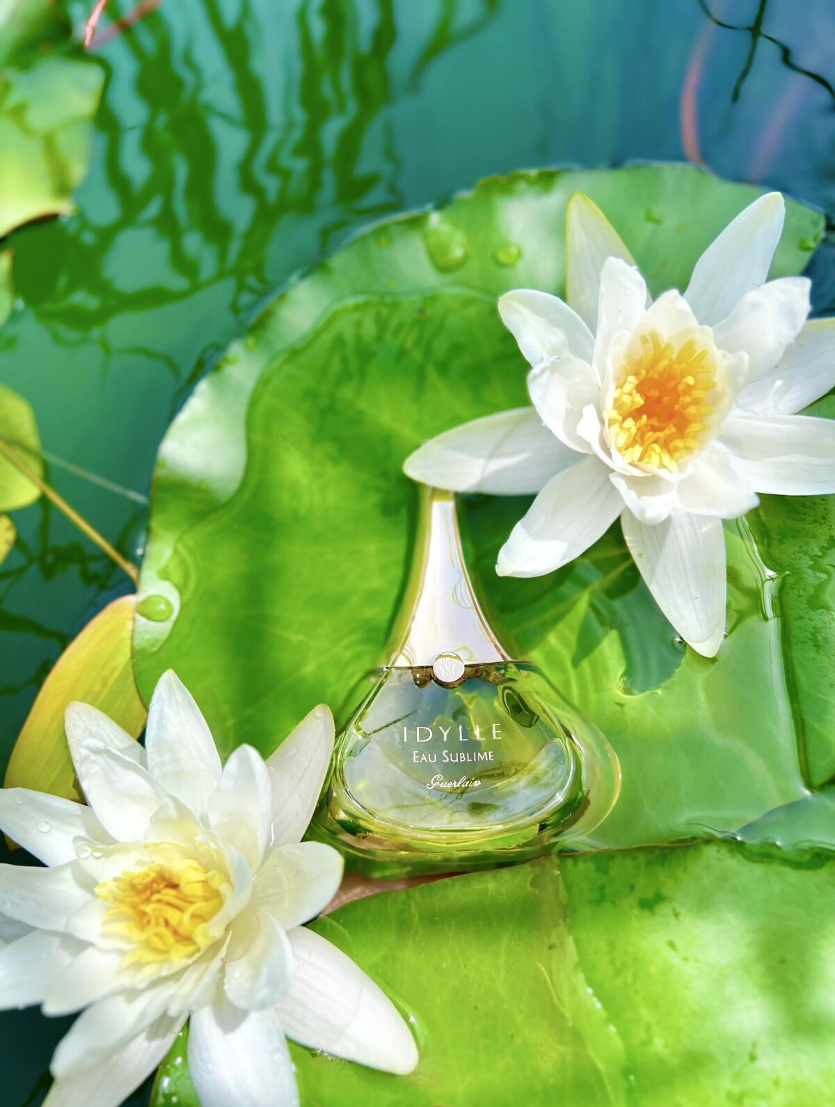 تصویر عطر ایدیل او سوبلیم گرلن