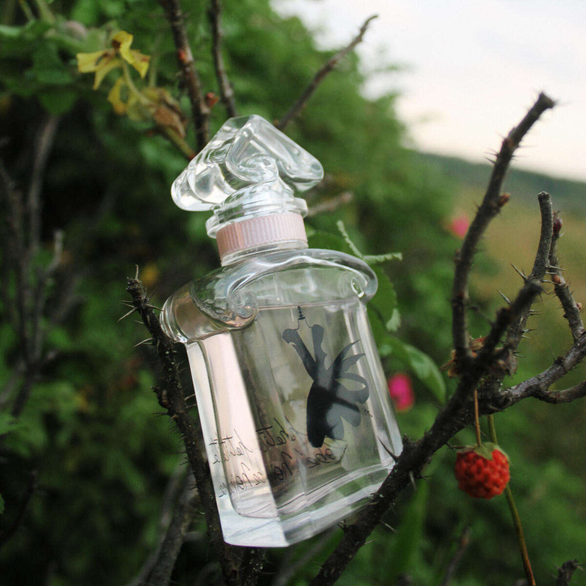 تصویر عطر ل پتیت روب نوآر او دوتوالت گرلن