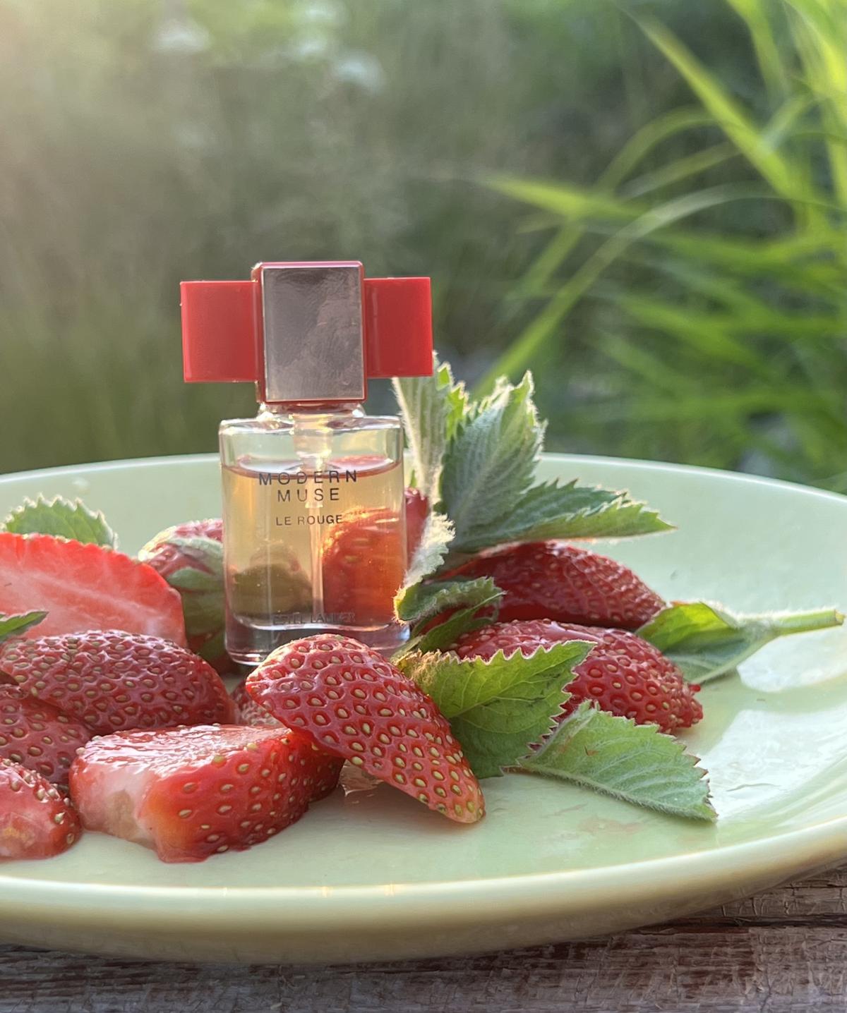 تصویر عطر مدرن میوز له رژ استی لودر