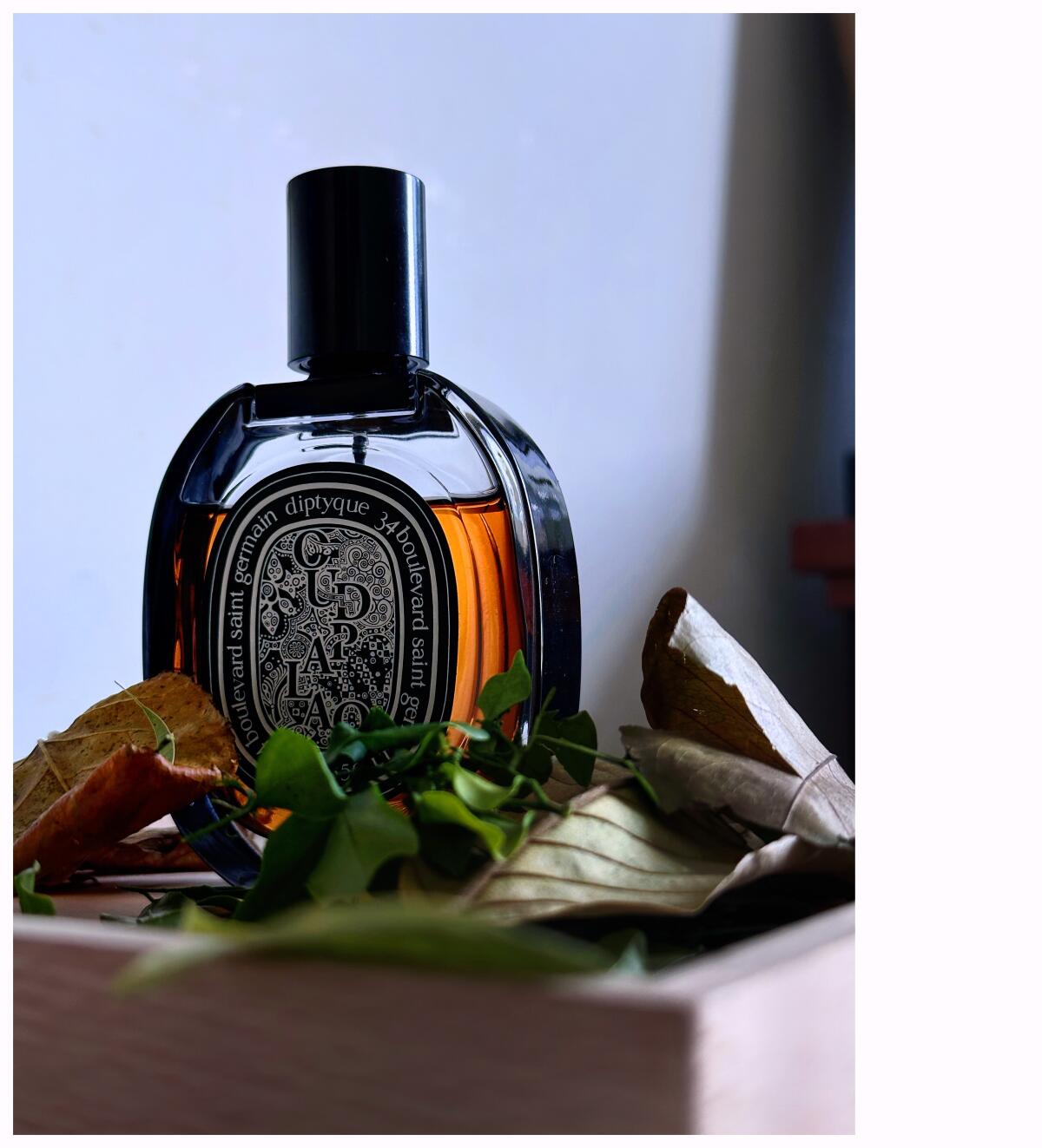 تصویر عطر اود پالا او دو پرفیوم دیپتیک