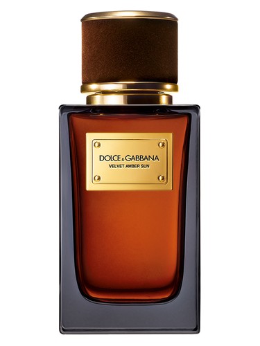 تصویر عطر ولوت امبر سان دولچه اند گابانا
