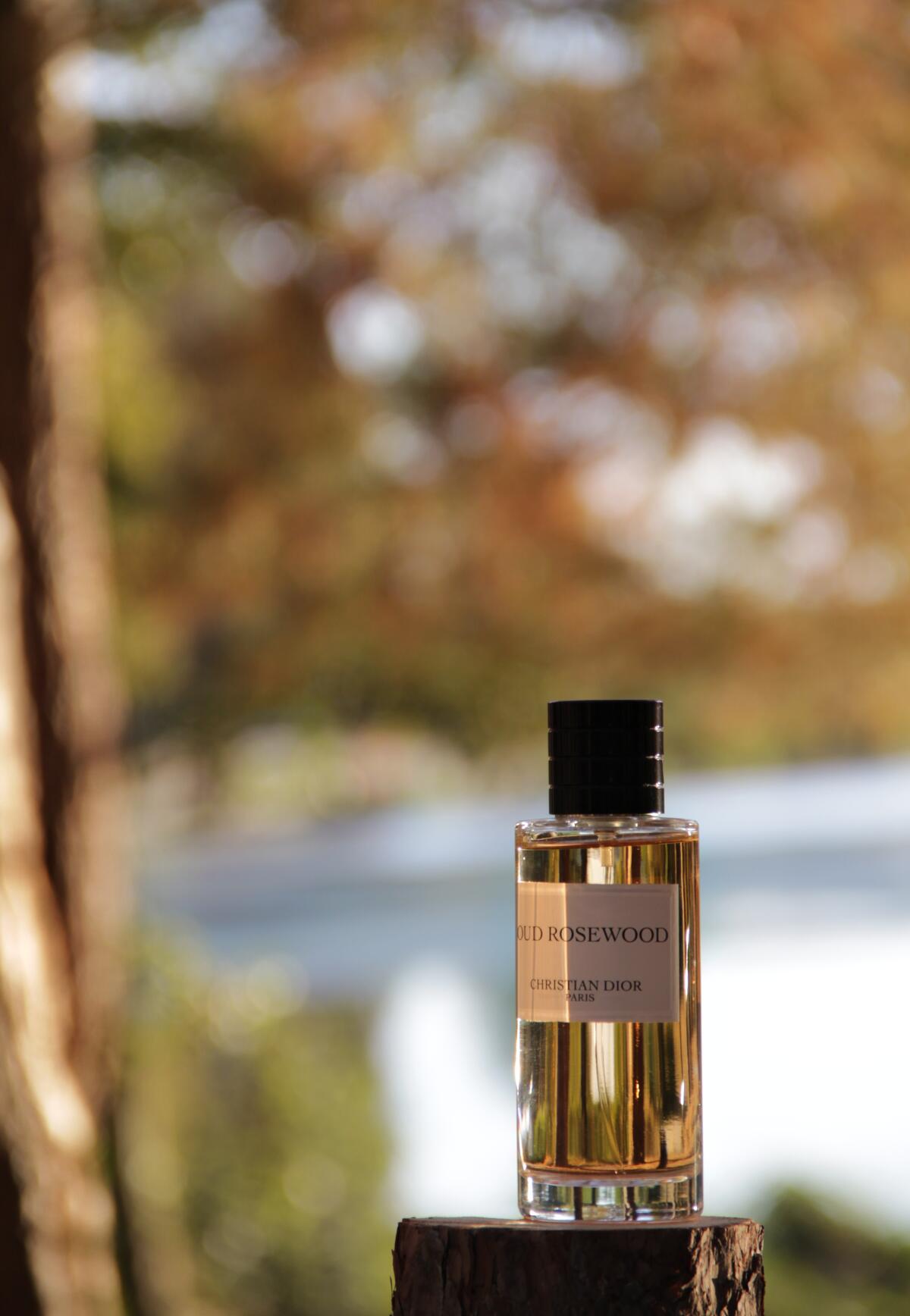تصویر عطر عود رز وود دیور