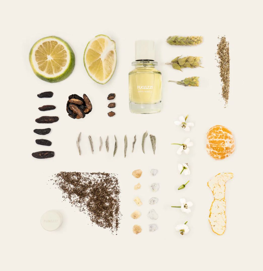 تصویر عطر سانتا مونیکا فوگازی