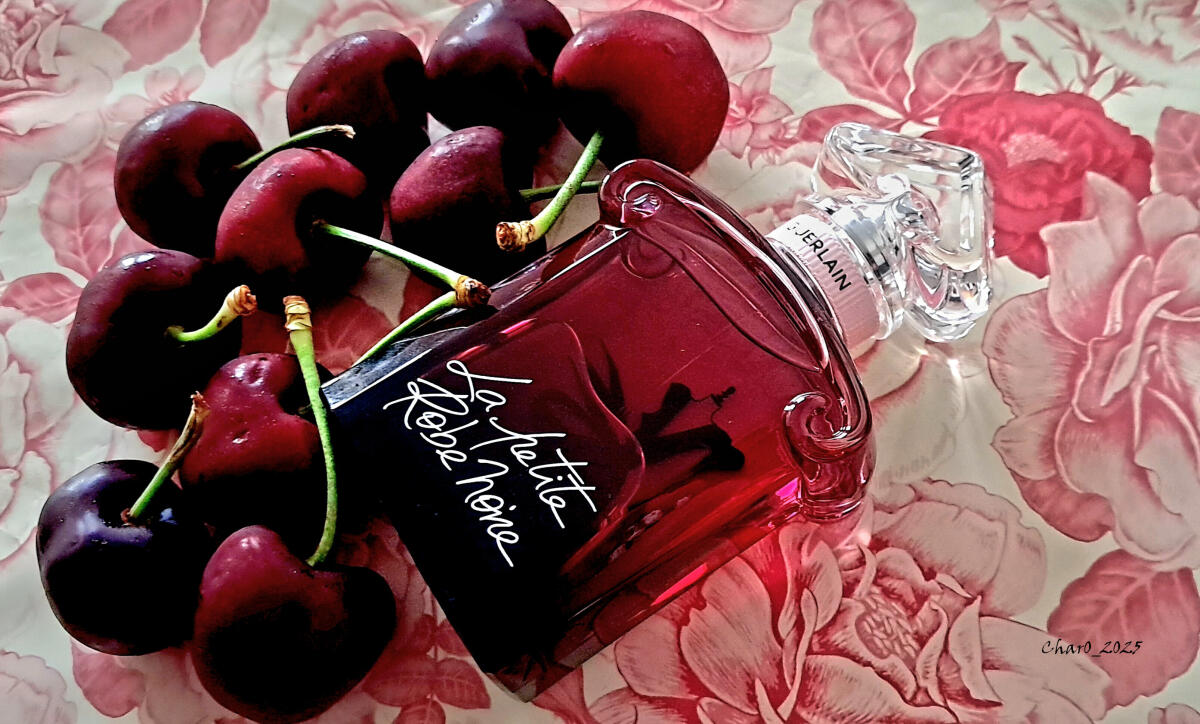 تصویر عطر لا پتیت روب نوآر ادو پارفوم ابسولو گرلن