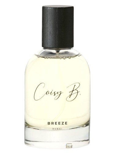 تصویر عطر بریز کویسی بی.