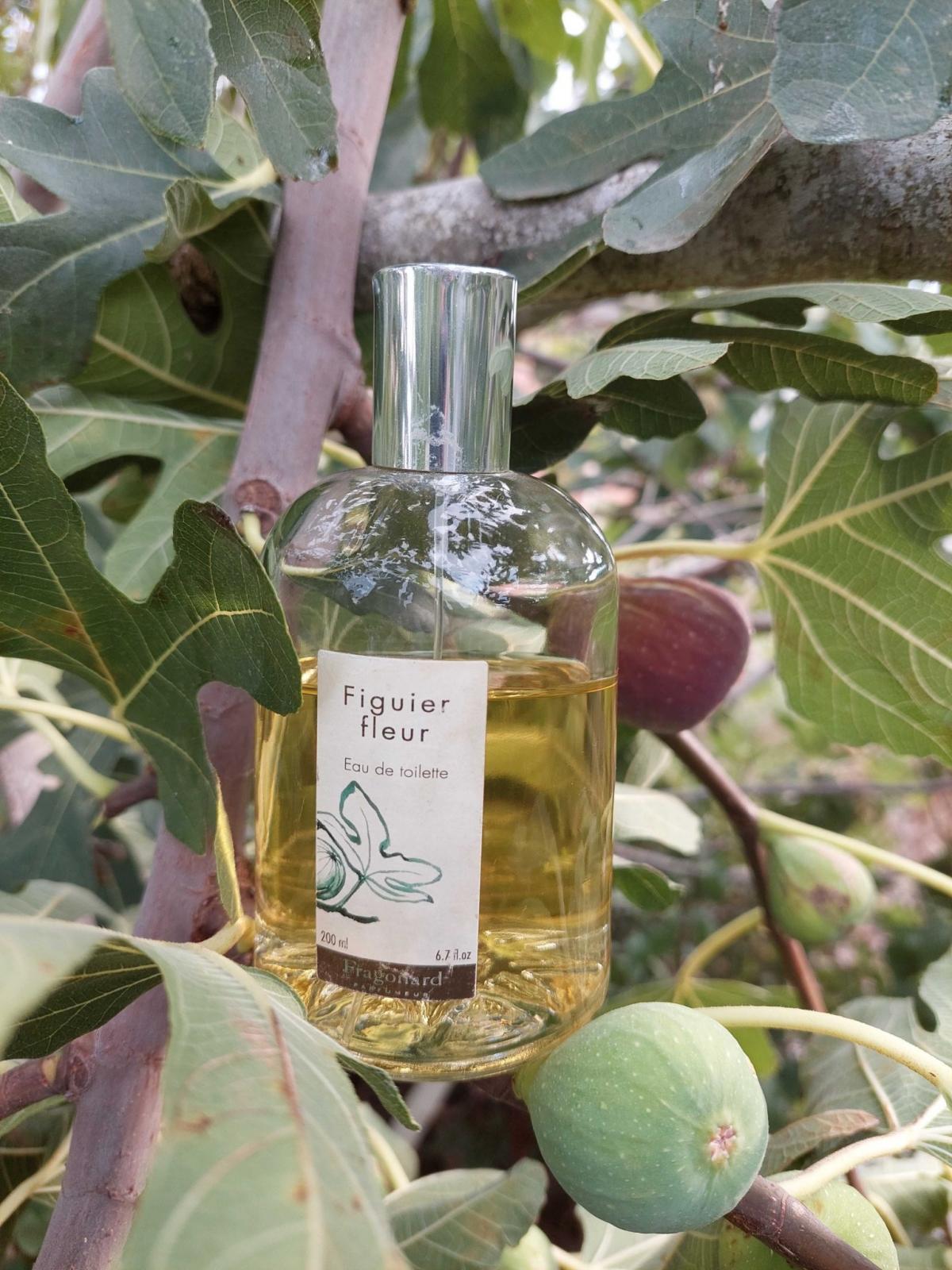 تصویر عطر لُ ناتورِل: فیگوییِر فِلُر فراگونار